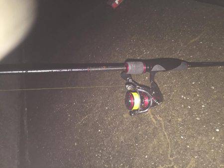 初めてのメバル プラッキング。