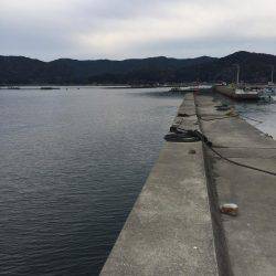 グレ釣りからカサゴ釣り