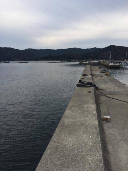 グレ釣りからカサゴ釣り