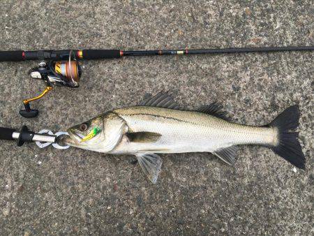 マイクロベイトパターン？