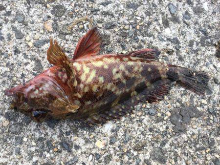 ケーソンの継ぎ目には