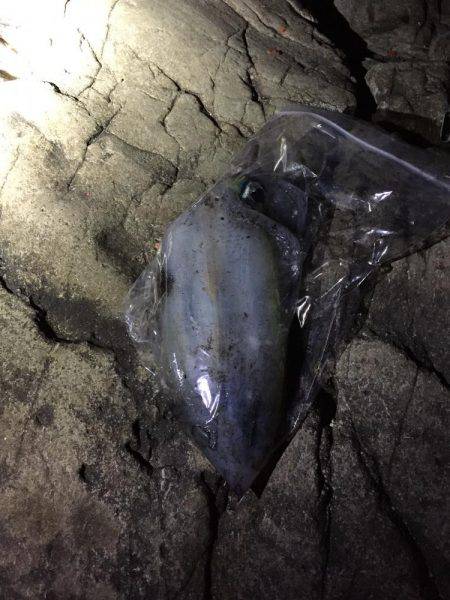 粘ってやっと！！