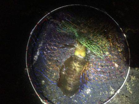 寒い中一晩頑張りました。