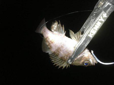 何てシブいんだ！