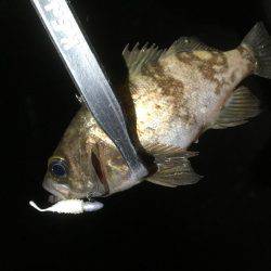 リベンジしかないッ！