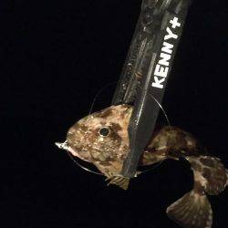 気力の続く限り！