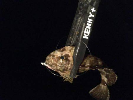 気力の続く限り！