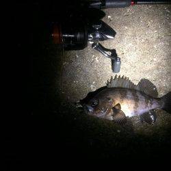 最低これ位は！