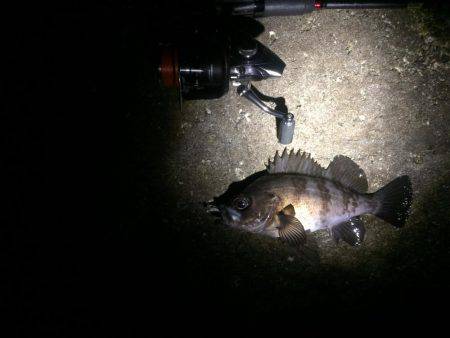 最低これ位は！