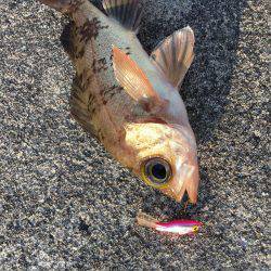 デイメバリング