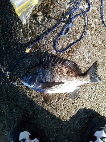 釣り日和で大漁