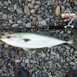 朝マズメの一本！