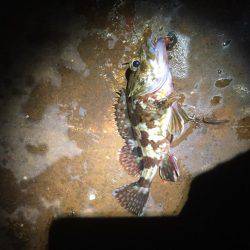 ライトライトライト