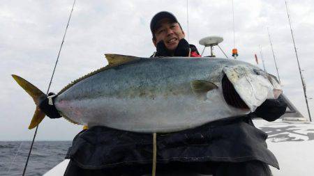 玄界灘ヒラマサ トップ