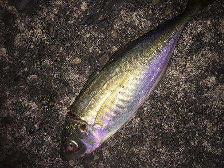 ライトライトライト遠征