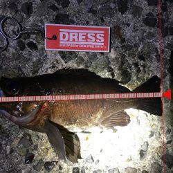 狙いのサイズが！