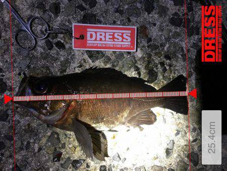 狙いのサイズが！