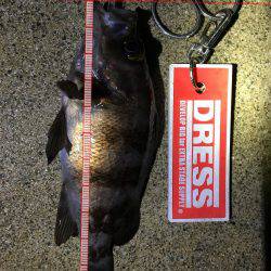 早朝メバリング