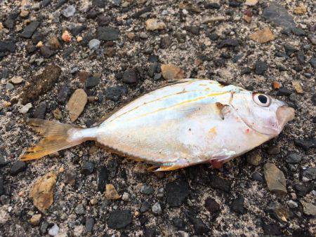 まだまだ辛いねーー