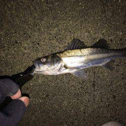 粘ってなんとか。