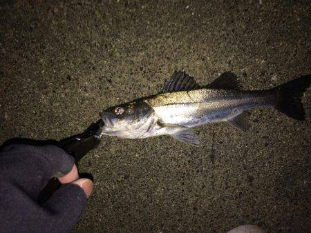 粘ってなんとか。