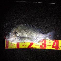 激渋チニングも2キャッチ