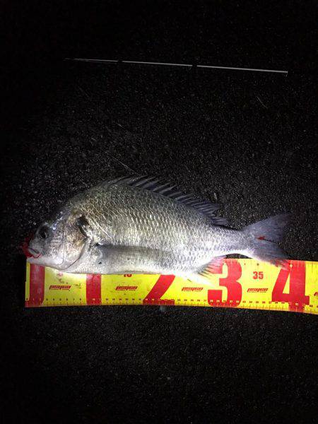 激渋チニングも2キャッチ