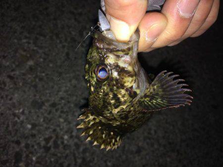 まづめのガシリング