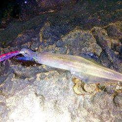 何とかボーズ逃れ