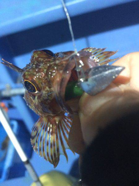 ヤザワ渡船のライトワインドチャレンジ