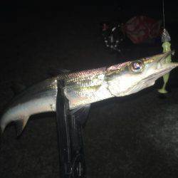 カマスランガン