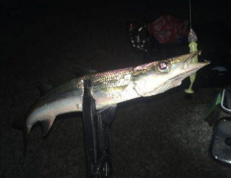 カマスランガン