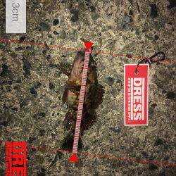 メバリング！！！