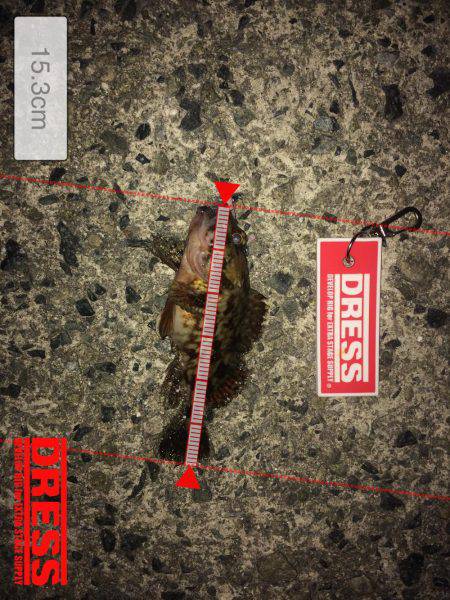 メバリング！！！