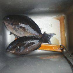 グレ厳しかった・・