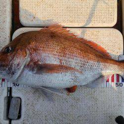 久しぶりに大満足