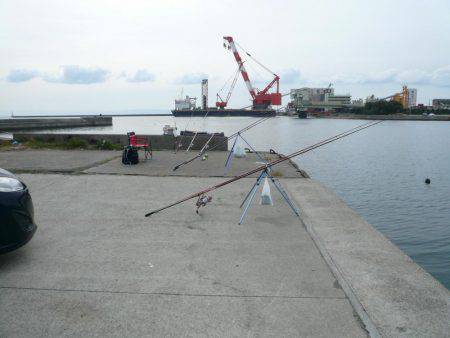 久々のカレイ釣行