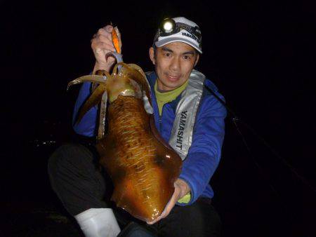 新規ポイントで