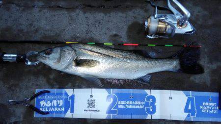 オキアミフカセでハネ‼