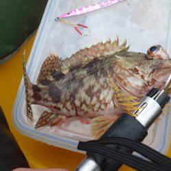 カヤック　ジギング