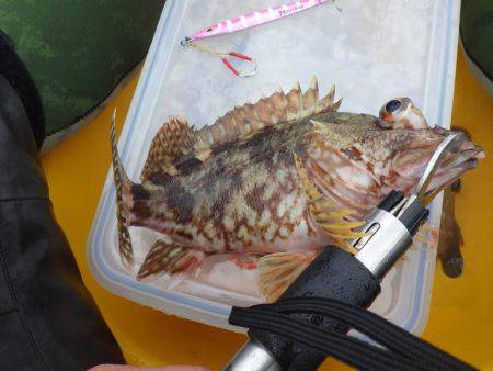 カヤック　ジギング