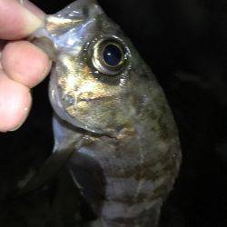 ランガンメバリング