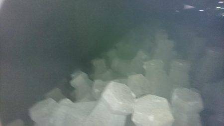 潮時を外すと厳しい