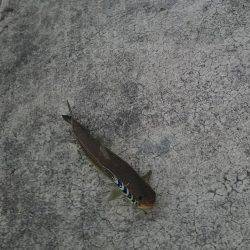 なかなか思い通りには