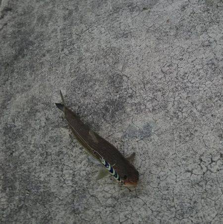 なかなか思い通りには