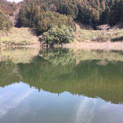 布目ダムもワカサギ好調