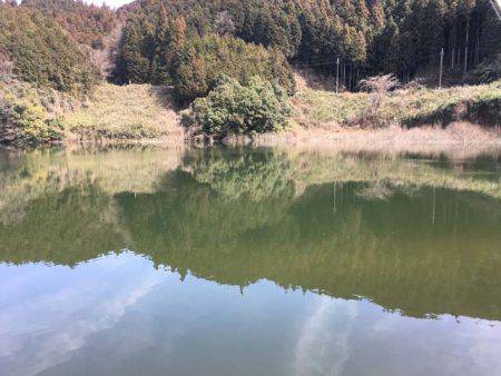 布目ダムもワカサギ好調