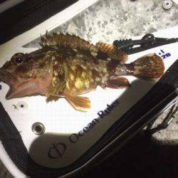 オンスさんの大会でメバリングデビュー