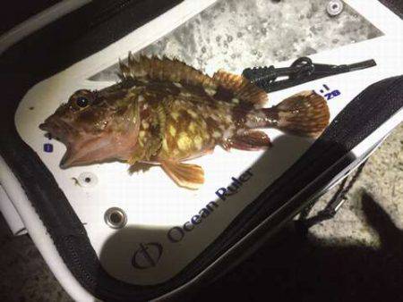 オンスさんの大会でメバリングデビュー