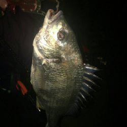 三寒四温の寒。